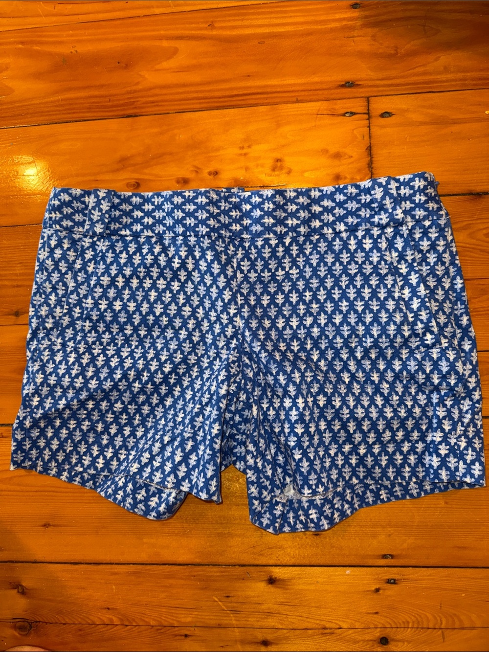 J. Crew Blue & White Batik Leaf Printed Women's Shorts size 8 city fit